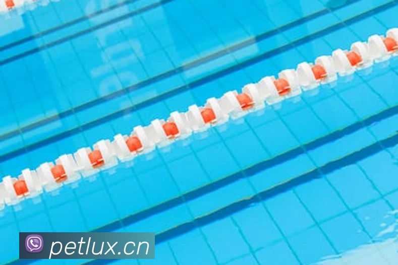 半岛在线登录官网平台生态图