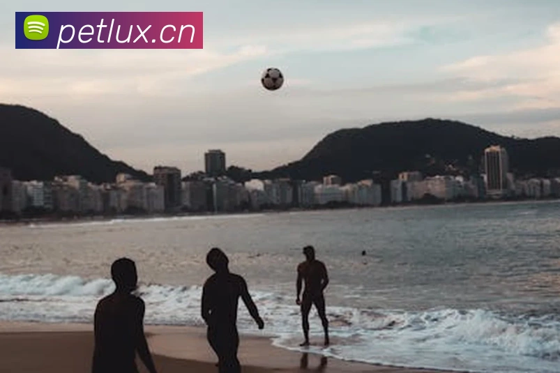 半岛在线登录官网APP 封面图