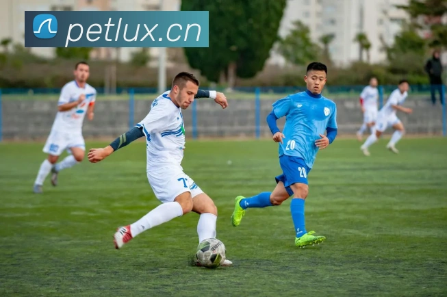 数据防护可视化